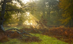 老年人喝的奶粉真的能改善他們的健康狀況嗎？