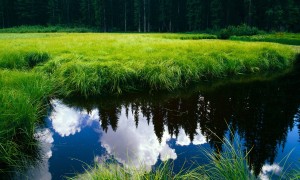 用牛奶粉與純牛奶哪個(gè)好？