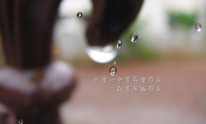 GRACO.葛萊品牌_葛萊牌子口碑_GRACO實力檔次排名