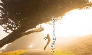 在支付寶如何買流量卡