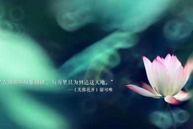 MADELINE_HILL.瑪德琳希爾品牌_瑪德琳希爾牌子口碑_MADELINE_HILL實力檔次排名